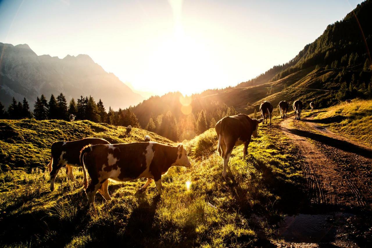 Kaiserhaus Leogang Zewnętrze zdjęcie